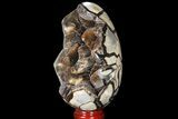 Septarian Dragon Egg Geode - Gorgeous Brown Crystals #81353-2